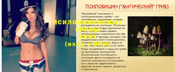 2c-b Касимов