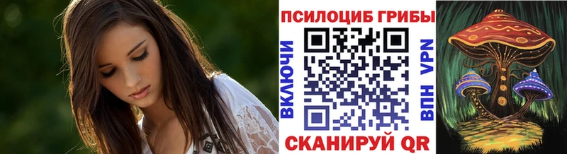 Галлюциногенные грибы GOLDEN TEACHER  Купить  Ишим 